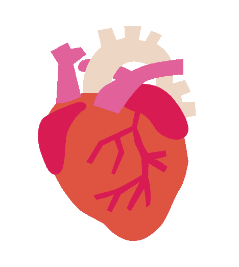 heart